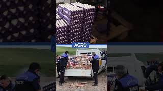 Kurtlanmış 5 Bin Koli Yumurta İmha Edildi