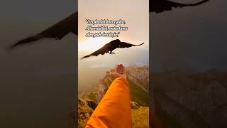 Download Lagu Ucapkanlah kata syukur.@mutiaraalfinada #shorts #motivasi #kata #kumpulan #dakwah #belajar MP3