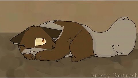 Brokenstar and Tigerstar - "Spotlight"