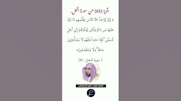 الآية (61)من سورة النحل// القارئ الشيخ ماهر المعيقلي.