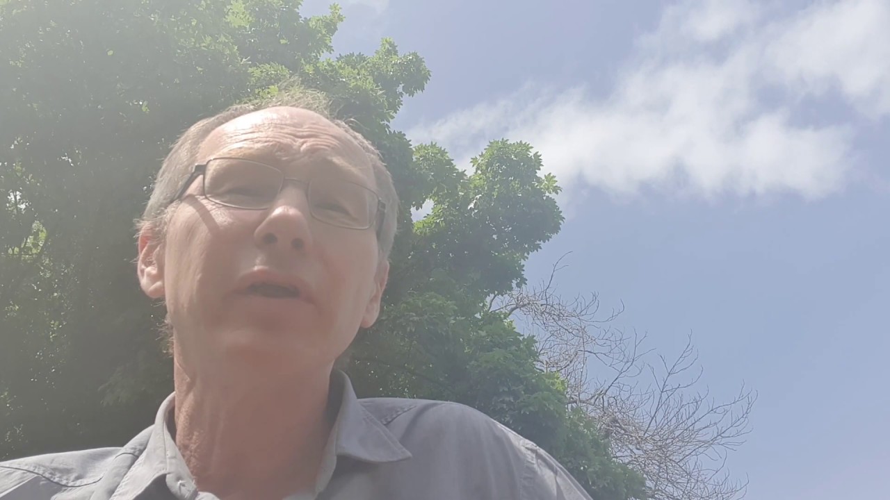 a-psalm-a-day-through-covid-19-psalm-82-youtube