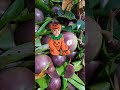 Purple starapple cutting shortfunnyfunny yummy satisfyingyutubeshorts