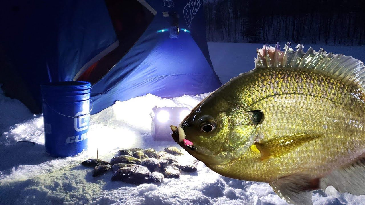 Ice Fishing 2020 (SNOWSTORM BLUEGILLS) YouTube