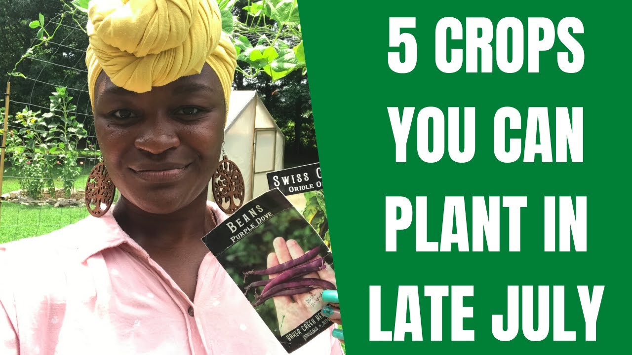 What Can You Plant In July YouTube What Can You Plant In July YouTube
