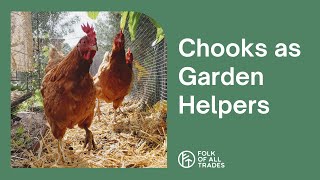 Chooks (chickens) as Garden Helpers • Folk of all Trades