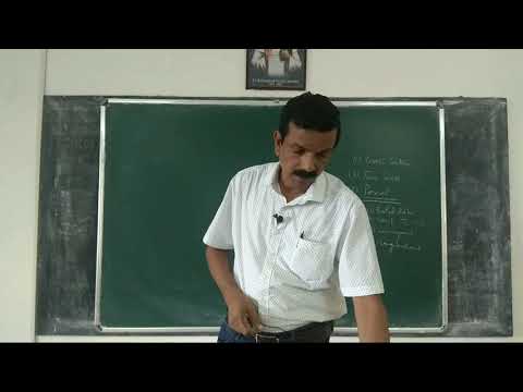 Econometrics 239: Panal