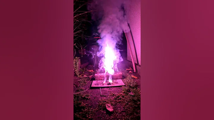 Video 11186311: bengal mix