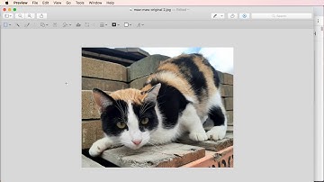 macOS preview image editing