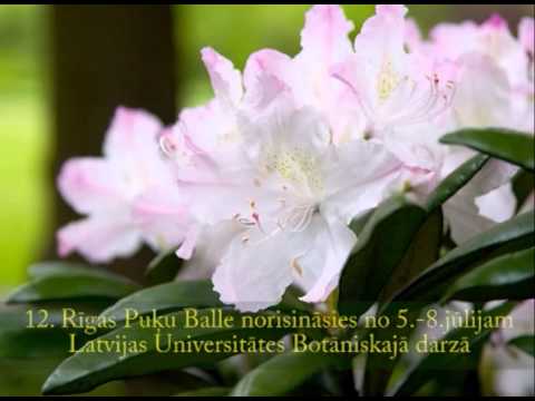Video: Maskavas Valsts universitātes Botāniskais dārzs 