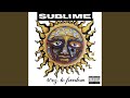 Sublime - 40oz. to Freedom