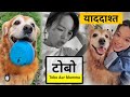        full episode   jj fact story  dog story dog horrorstories