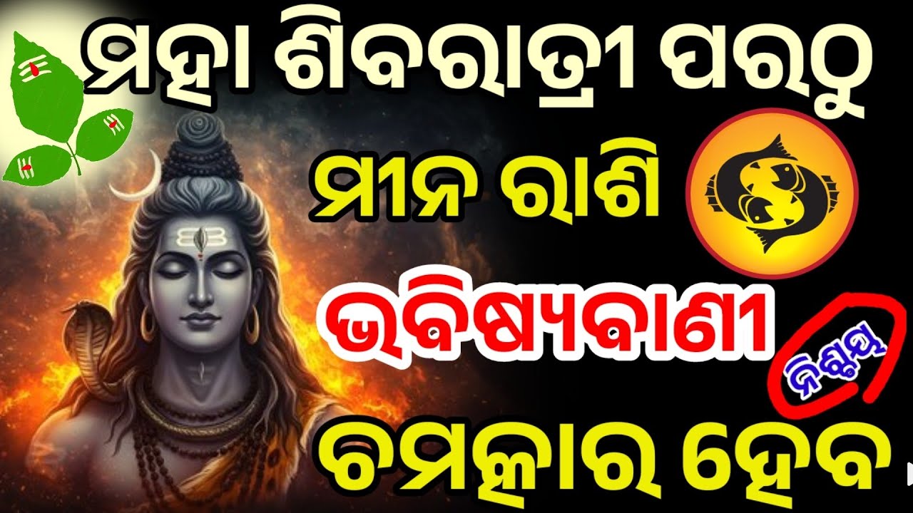 ମହା ଶିବରାତ୍ରୀ ଠାରୁ ମୀନ ରାଶି/maha shivaratri 2026/ Mina Rashi 2026/Mina Rashi February 2026