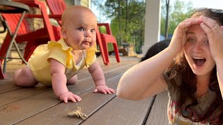 LEARNING TO CRAWL WITH A CRAWDAD!!