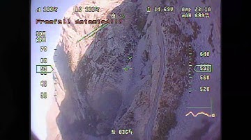 Eagle Tree Vector - QAV400 - Freefall Detected!!!