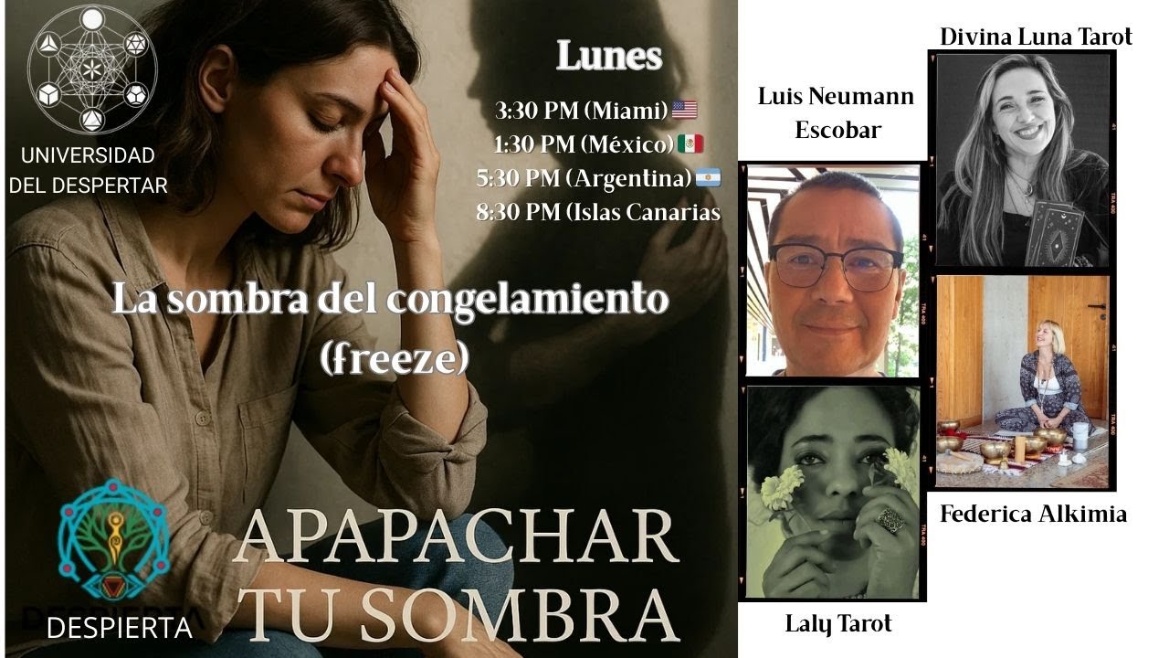 APAPACHAR TU SOMBRA - LA SOMBRA DEL CONGELAMIENTO