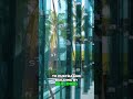 Miami Design District: Fashion, Art, &amp; Culinary Paradise! #shorts