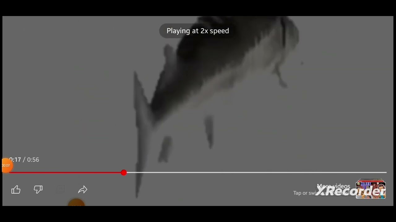 Spinning fish 2X speed YouTube