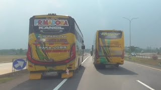 Asoy | goyang kiri kanan_Aksi bus Luragung Kancil Vs Hegar