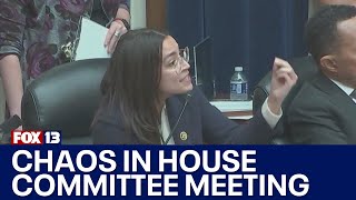 Chaos erupts at House committee meeting | FOX 13 Seattle