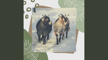 Sumptuous Moods for Studying Sounds