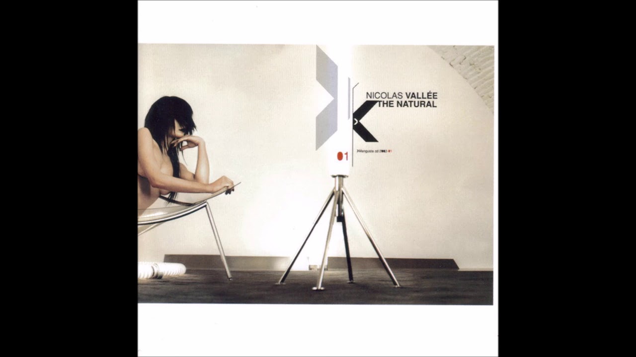 NICOLAS VALLEE - Land of the Free