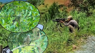 HUNTING // Quail and Turtle Dove. Mountain Range and Rice Fields. Dr. Slug Barrel A10