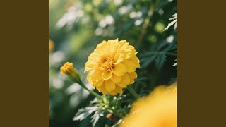 optimistic thinking
