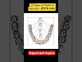 Types of Teeth in Humans | दाँतों के प्रकार# shorts# inclusive learning YouTube channel# viral#kvs