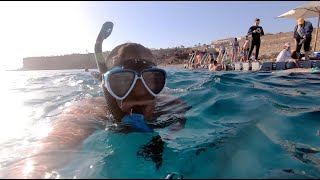 Шарм-Эль-Шейх, Reef Oasis Beach Resort 5* - Понтон и подводный мир (март 2021г.)