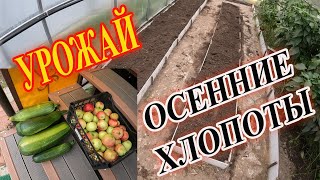 Кончилось лето. Осенние заботы