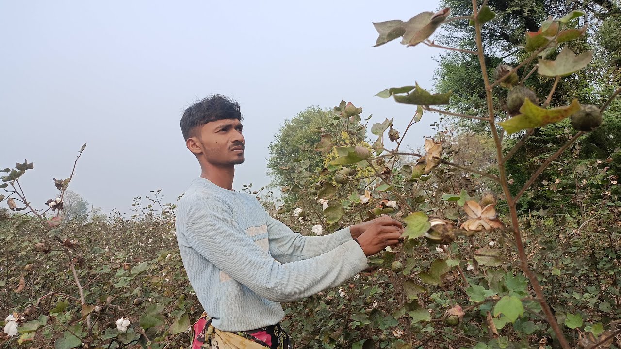 शेतकऱ्याचं खरं आयुष्य LIVE 😓🌾 | Farmer Hard Work Live Vlog