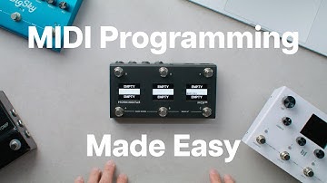Beginner