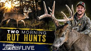 November Success: Iowa Rut Rewind | Dream Season Live