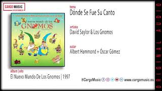 David Saylor & Los Gnomos - Dónde... (El Nuevo Mundo de los Gnomos 1997) [official audio + letra]