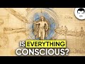 What is consciousness with neil degrasse tyson  george mashour