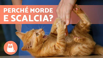 Che significa quando uno si morde il labbro?