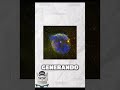 Sabias este Dato sobre el universo 🌌✨? #astronomia #datoscurisos #ciencia #curiosidades #matematicas