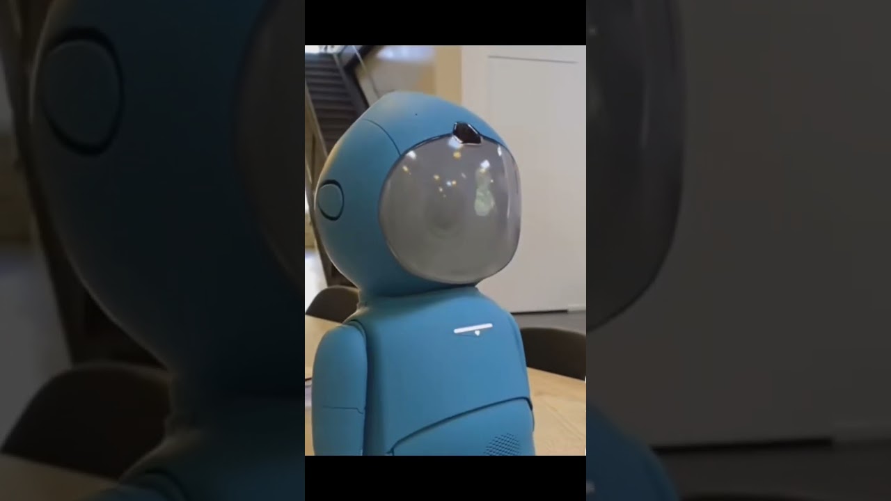 best educational robot 