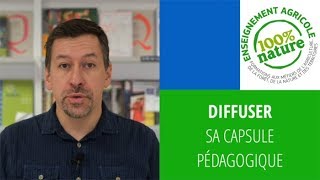 La diffusion de sa capsule vidéo ?