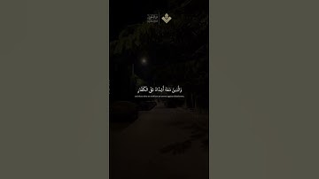 محمد رسول الله | سورة الفتح - الآية 29  #المنشاوي #قرآن_كريم
