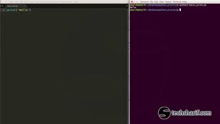 Bangla Python Tutorial - 02.01 - Basic print