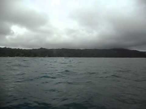 Avistamiento de ballenas en el Pacifico colombiano