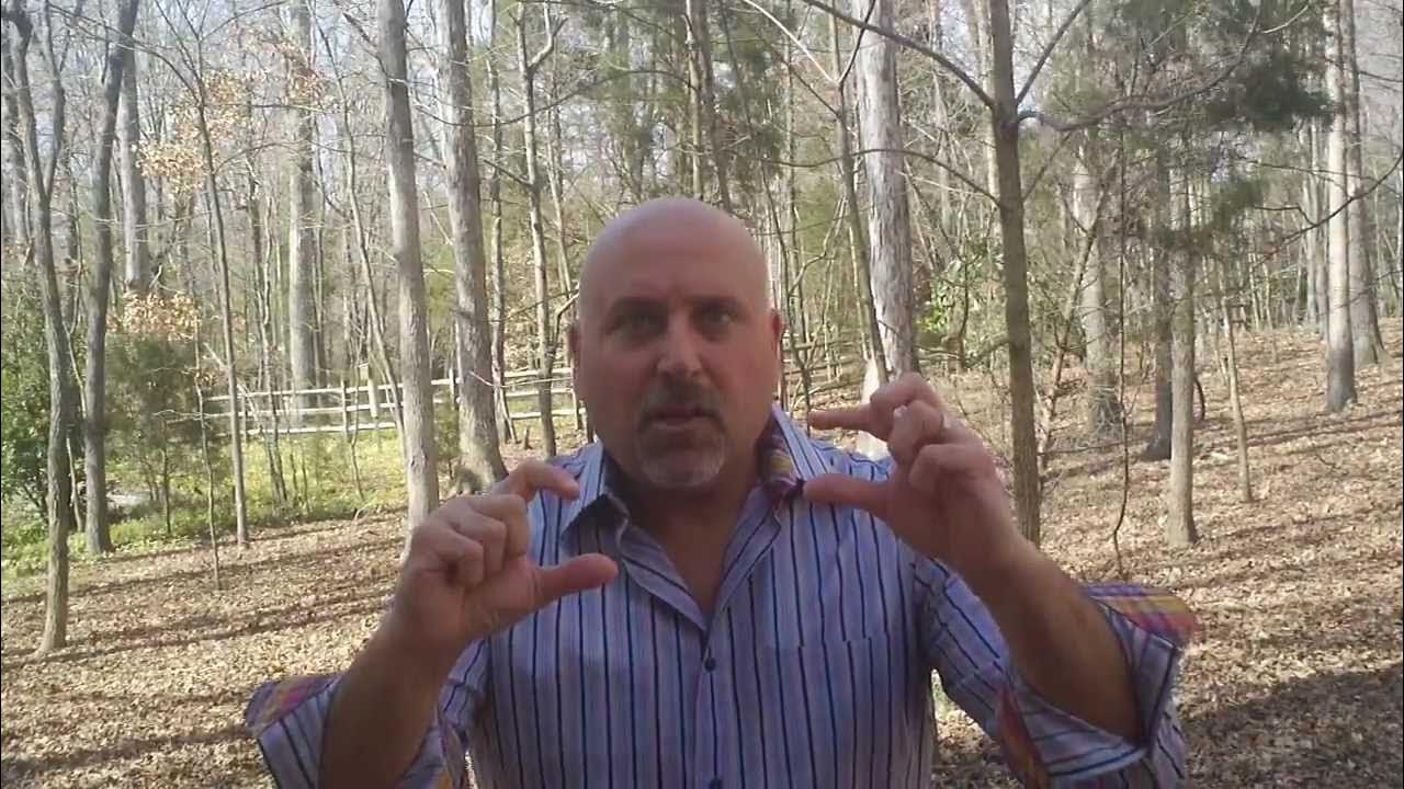 Charlotte Real Estate,Trulia and Zillow say My House is worth what???? YouTube