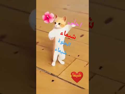 جوجو جوجو شيماء الحلوة شيماء