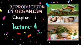 Types Of Asexual Reproduction