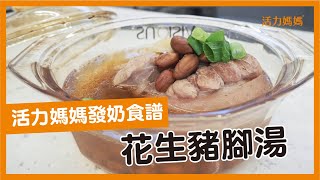 超級發奶湯自己做！哺乳追奶一定要喝過的【花生豬腳湯】 