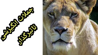 جملات انگیزشی تاثیرگذار