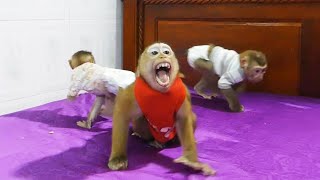 D0Do Reaction Open Bigmouth While Mom Call To Stop Pl Fiight D0Nal