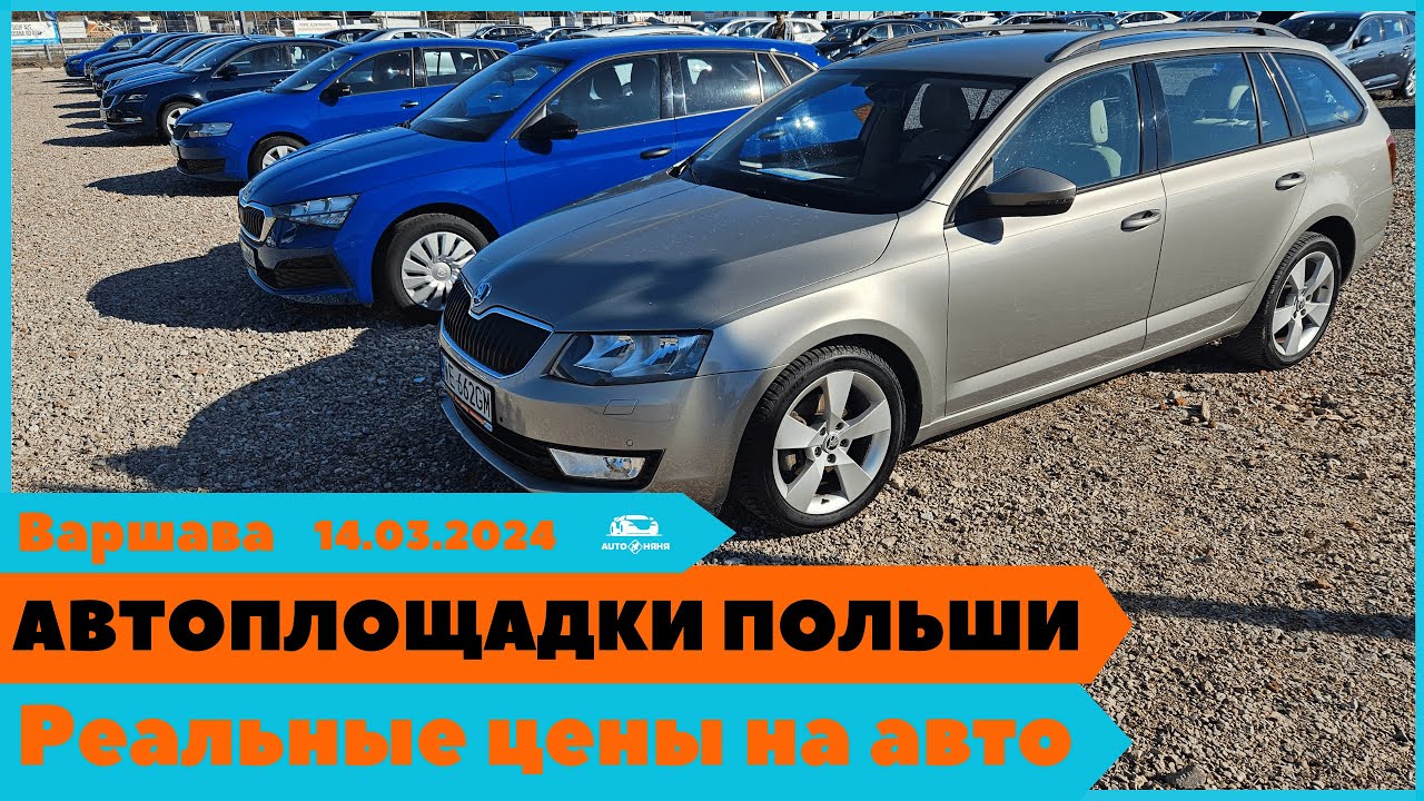 Автоплощадки Польша. Варшава 14.03.2024 поиск и подбор авто #варшава, #подборавто