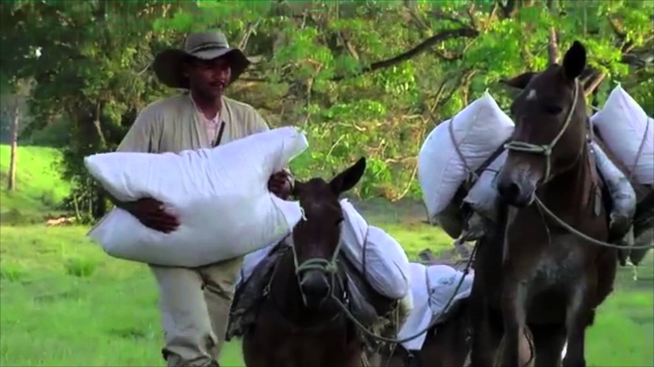 GUASCARRILERA Y PASION